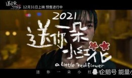 送你一朵小红花爆料视频,幕后故事与精彩瞬间