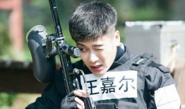 我们战斗吧在线观看,热血青春的虚拟战场